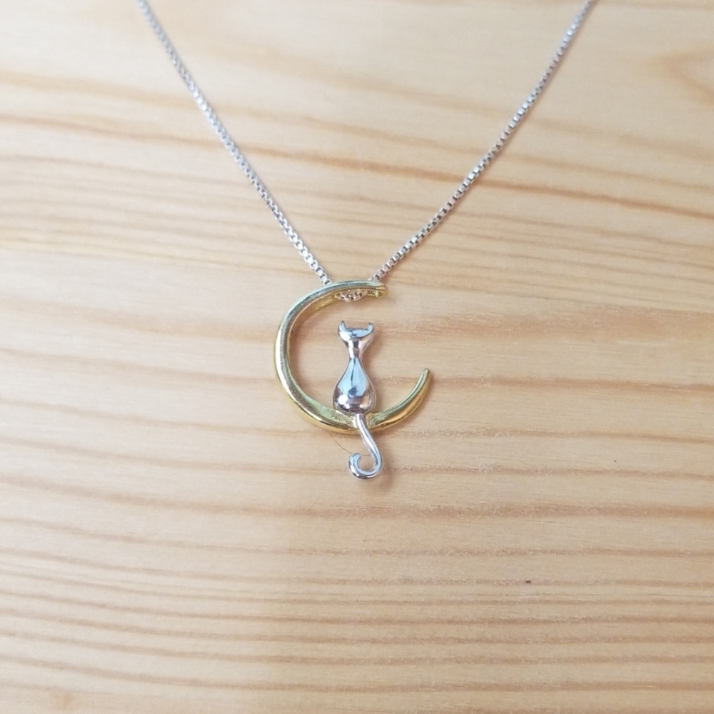 Cat sitting on the moon on silver chain